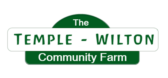 Temple-wilton new-logo